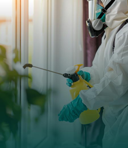 10 Effective Ways to Keep Rats Away from Your Home Naturally